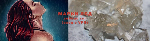 гидра Белокуриха