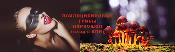 гидра Баксан