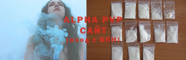 гидра Белокуриха