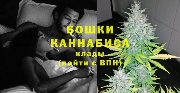 гидра Белокуриха