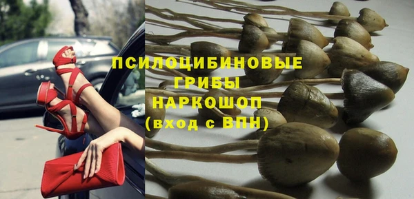 гидра Белокуриха