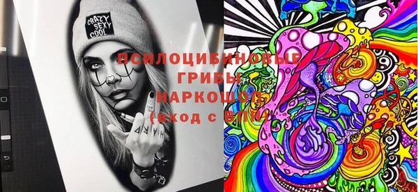 PSILOCYBIN Белоозёрский