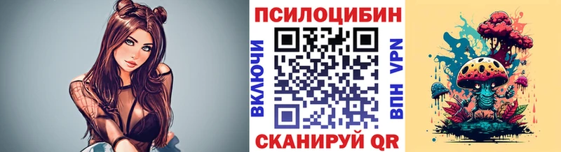 цены наркотик  Чадан  Галлюциногенные грибы GOLDEN TEACHER 